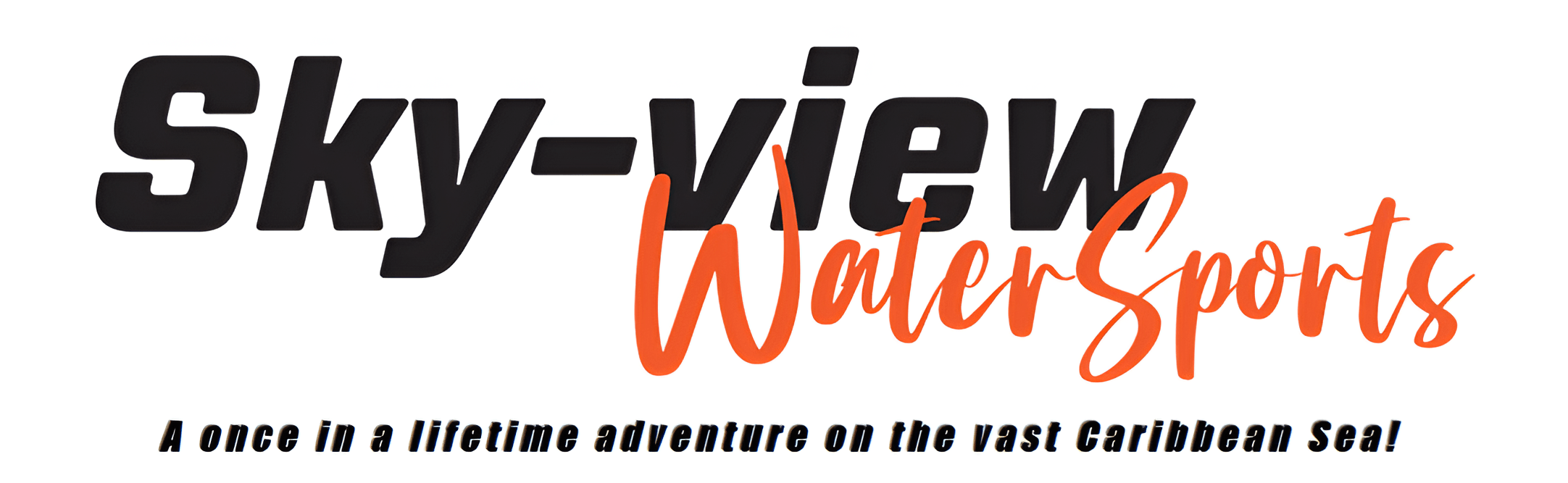 Why Choose  Skyview Watersports Aruba