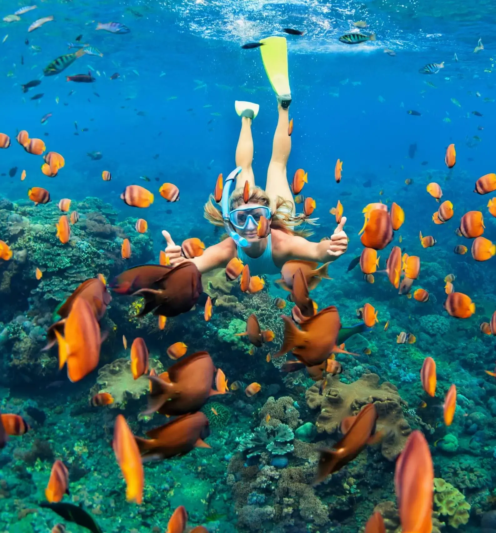 Skyview Watersports Private Snorkeling Tour